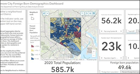 Picture of the demographics dashboard